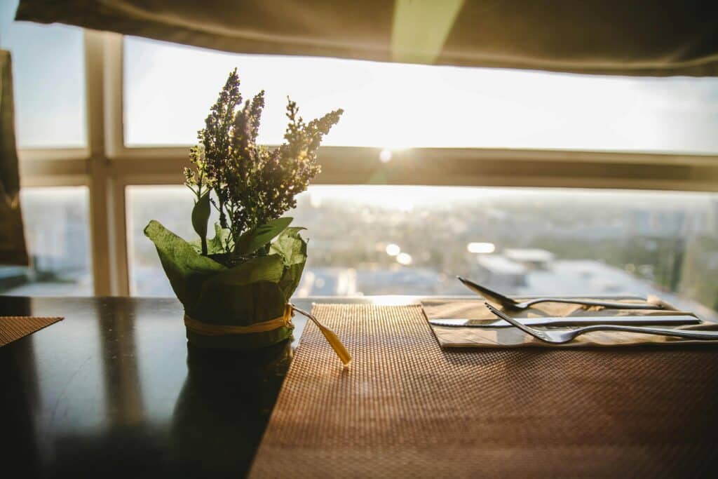 Tanning through window with sun shining in onto plant and dining utensils