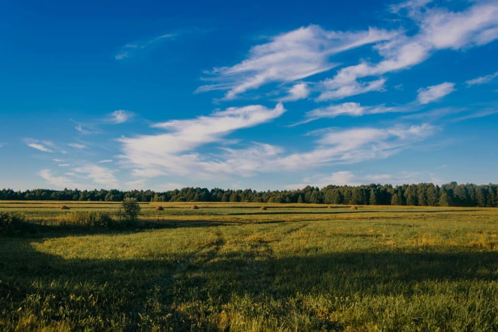 Field of grass and clean air in Berea, OH